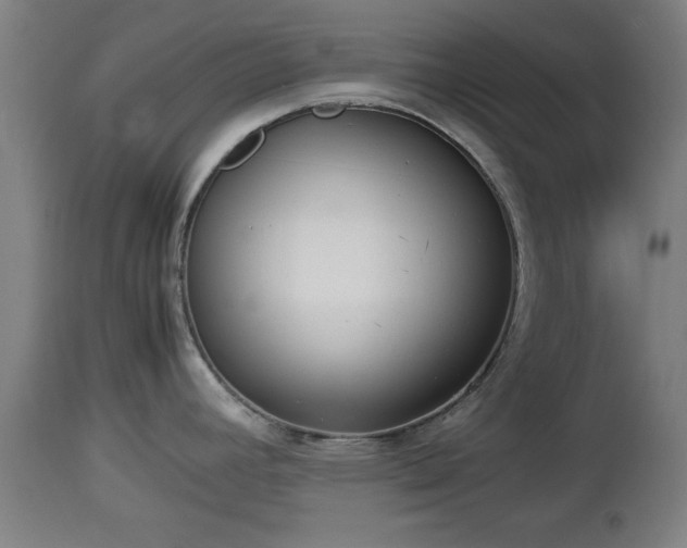 X0000112851392200908281552