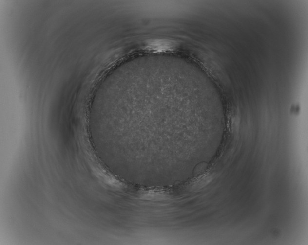 X0000112851393200908281552