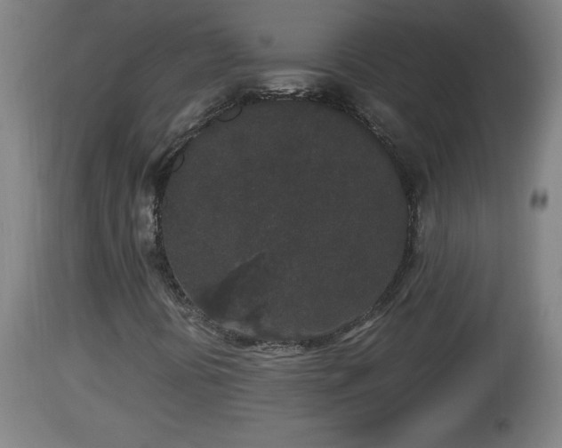 X0000112851394200908281552