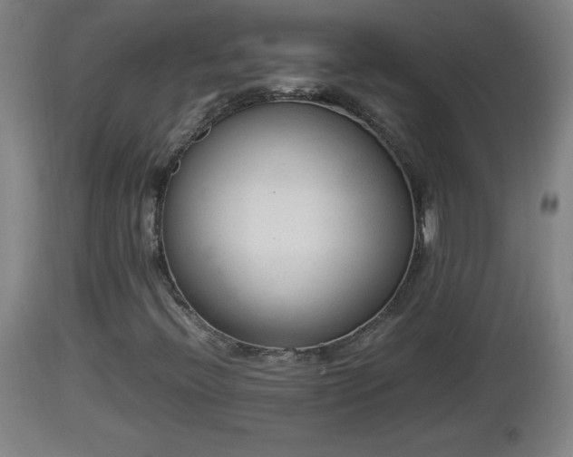 X0000112851396200908281552