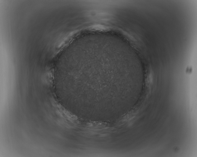 X0000112851397200908281552