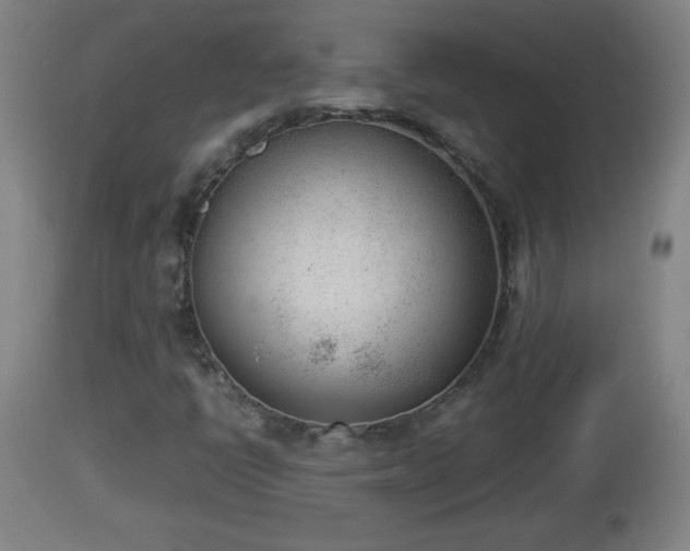 X0000112851398200908281552