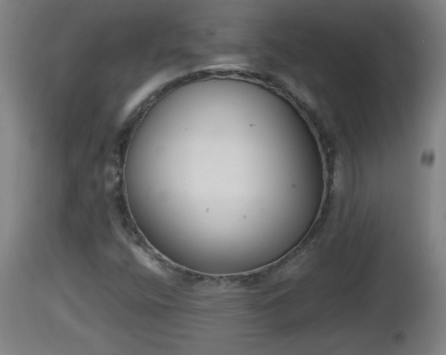 X0000112851400200908281552