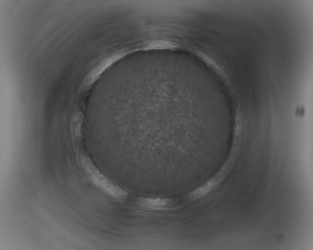 X0000112851401200908281552