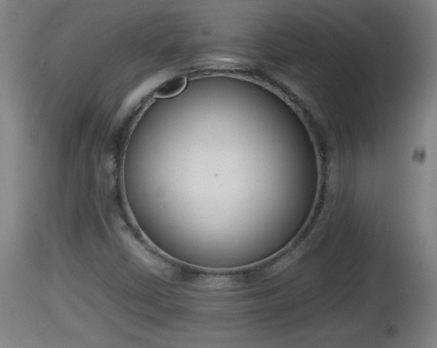 X0000112851402200908281552