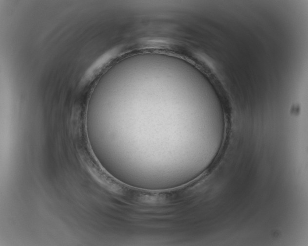 X0000112851403200908281552
