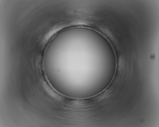 X0000112851404200908281552