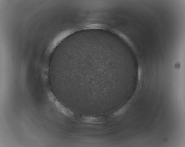 X0000112851405200908281552