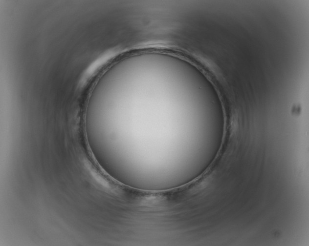 X0000112851406200908281552