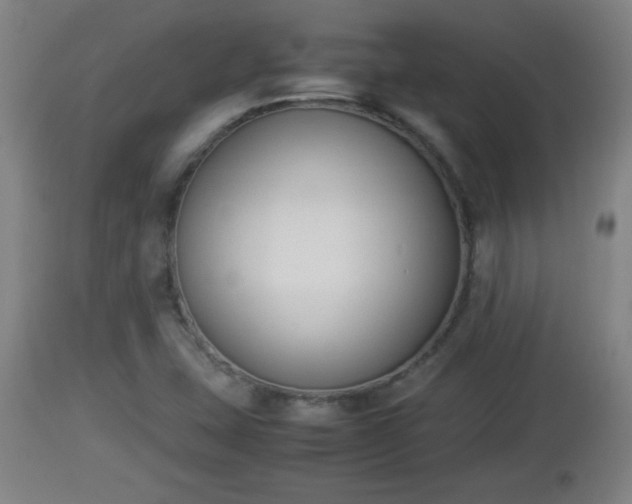 X0000112851407200908281552