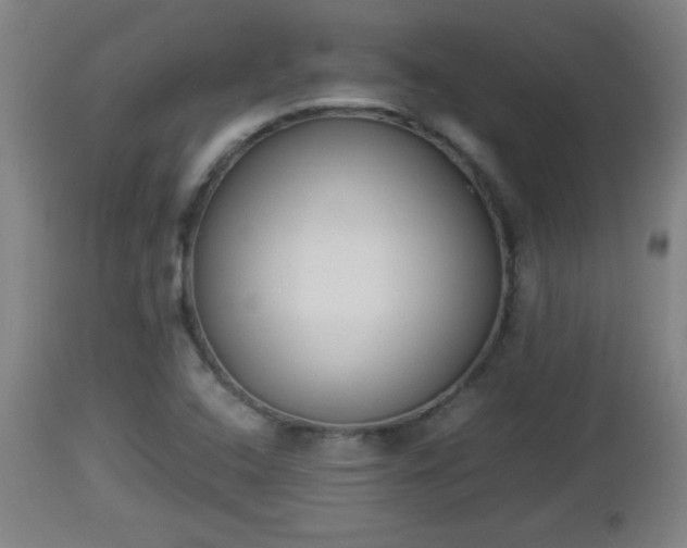 X0000112851408200908281552
