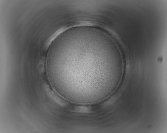 X0000112851409200908281552