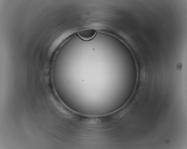 X0000112851410200908281552