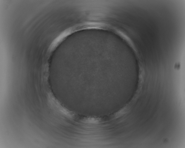 X0000112851411200908281552