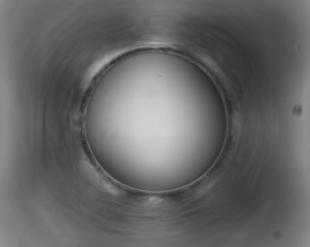 X0000112851412200908281552