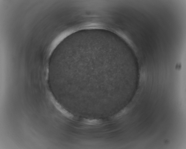 X0000112851413200908281552