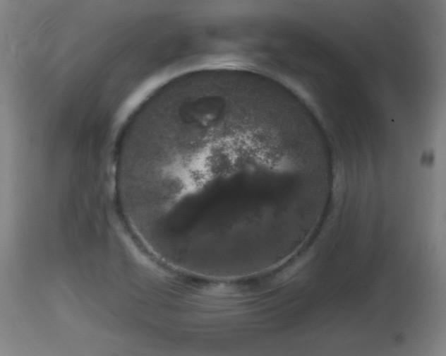 X0000112851414200908281552