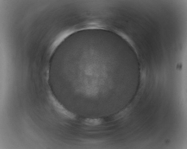 X0000112851415200908281552