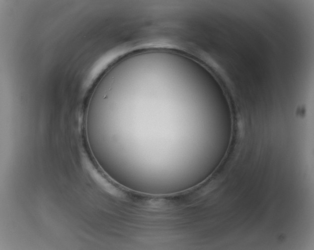 X0000112851416200908281552