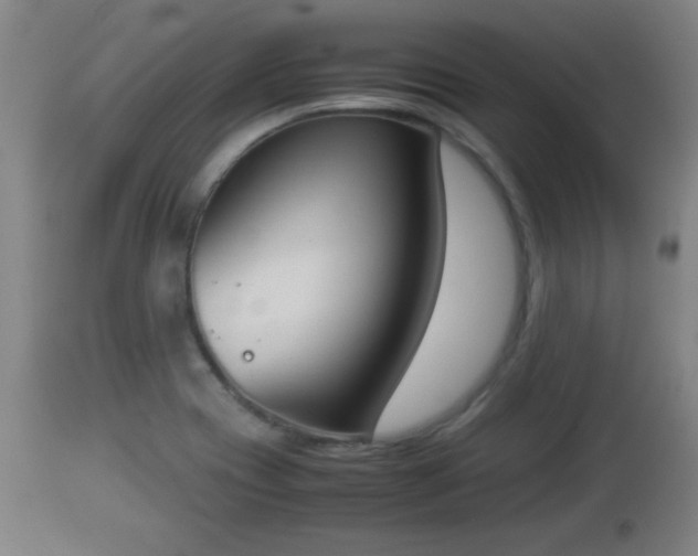 X0000112851417200908281552