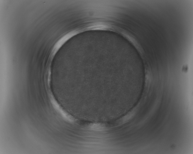 X0000112851418200908281552
