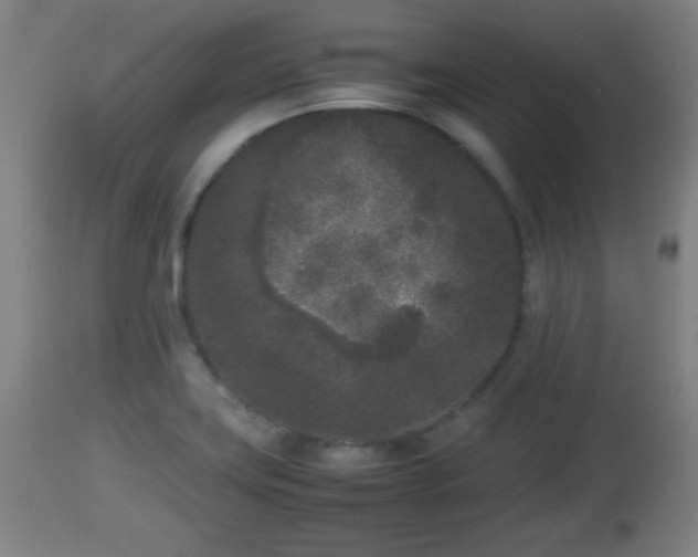 X0000112851419200908281552