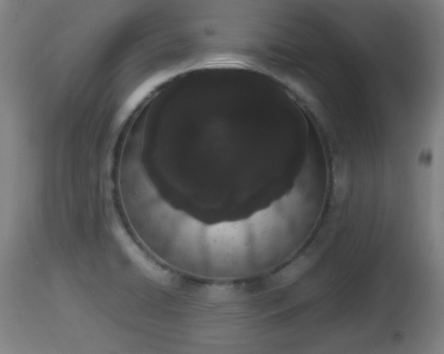X0000112851422200908281552