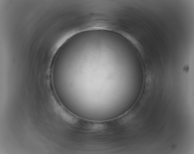 X0000112851423200908281552