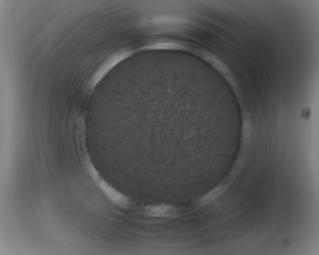 X0000112851425200908281552