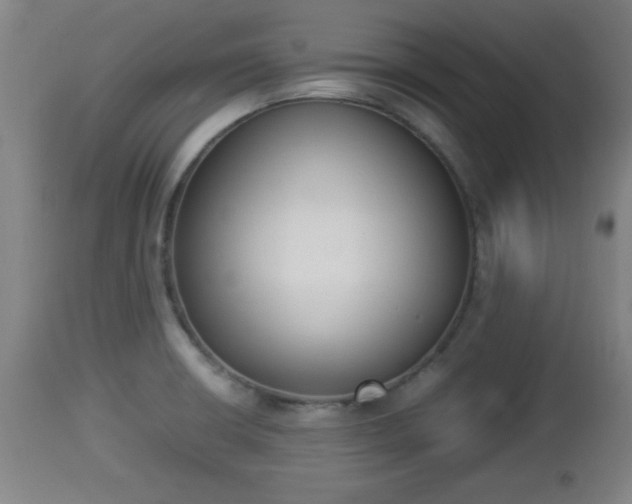 X0000112851426200908281552