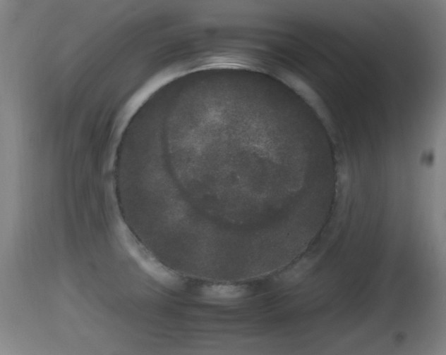 X0000112851427200908281552