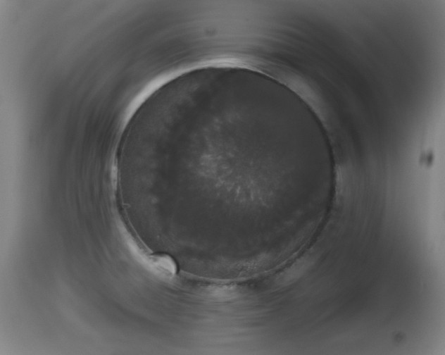 X0000112851428200908281552