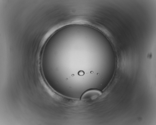 X0000112851430200908281552