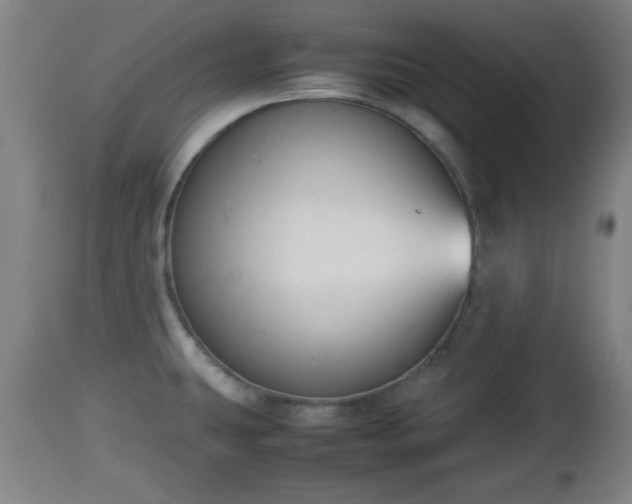 X0000112851431200908281552