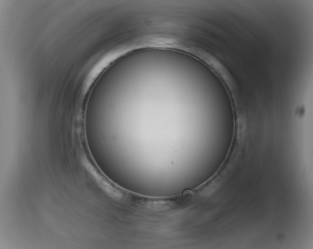 X0000112851432200908281552