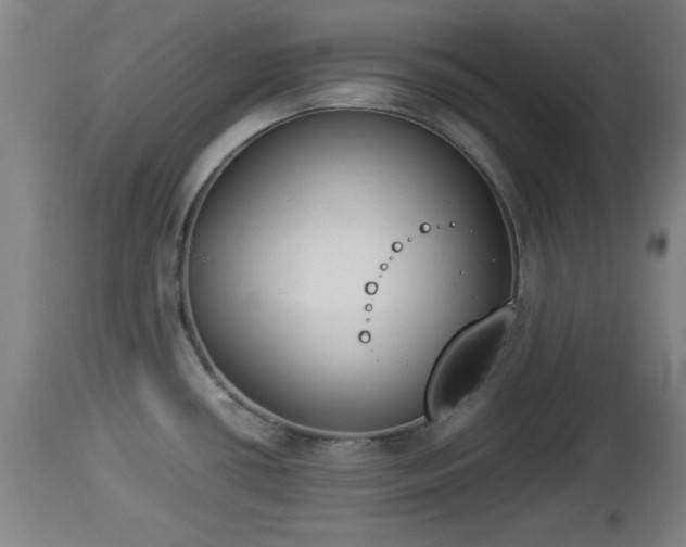 X0000112851434200908281552