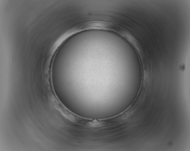 X0000112851435200908281552