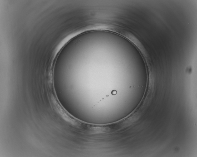 X0000112851436200908281552