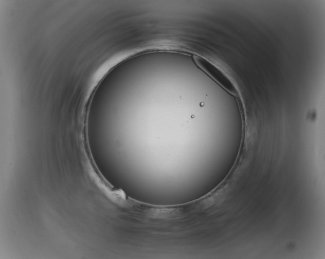 X0000112851437200908281552