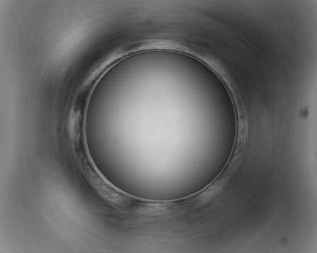 X0000112851438200908281552