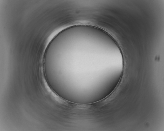 X0000112851440200908281552