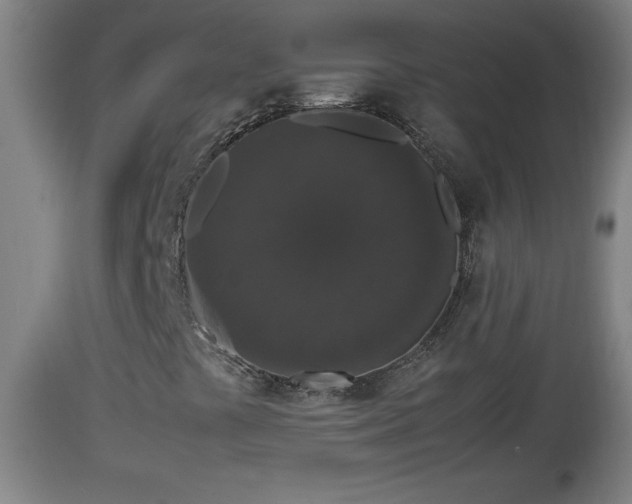 X0000112851441200908281552