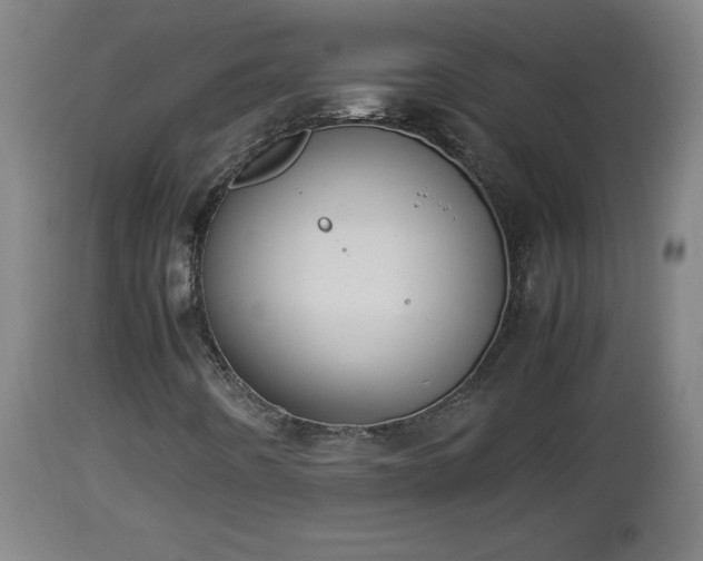 X0000112851442200908281552