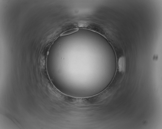 X0000112851443200908281552