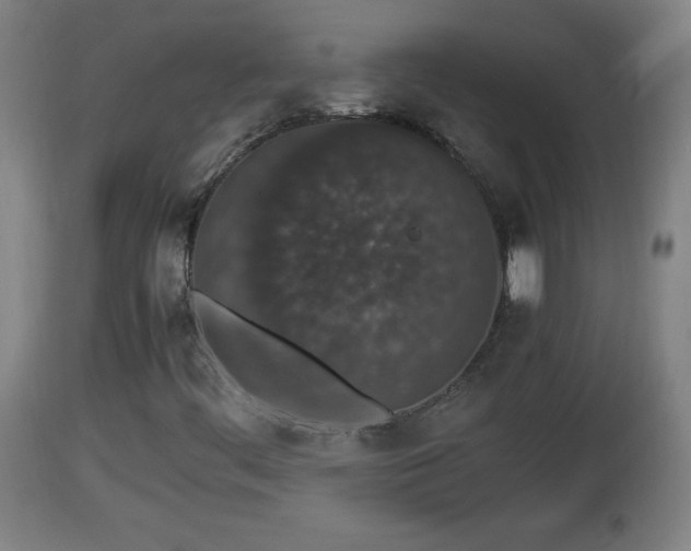 X0000112851444200908281552