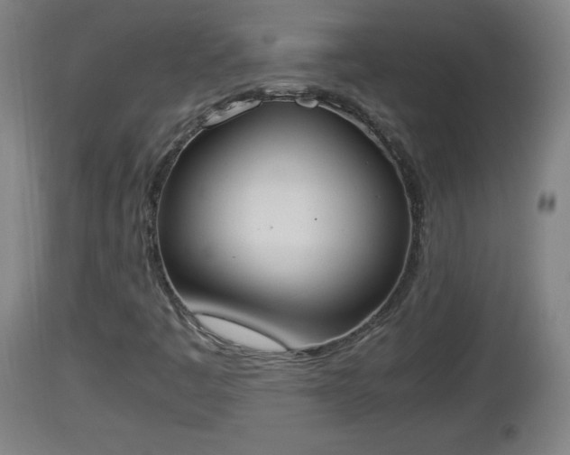 X0000112851445200908281552