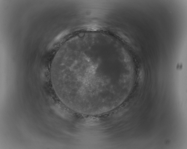 X0000112851446200908281552