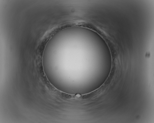 X0000112851447200908281552