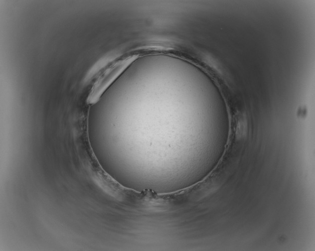 X0000112851448200908281552