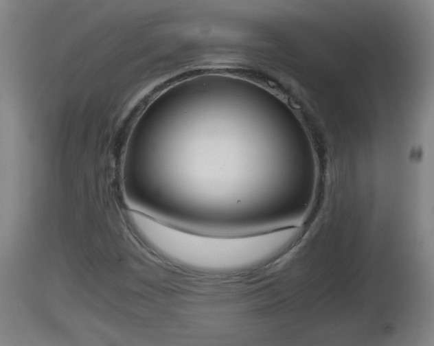 X0000112851449200908281552